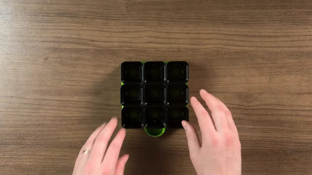 nine black starter pots arranged in a green tray on a wooden table