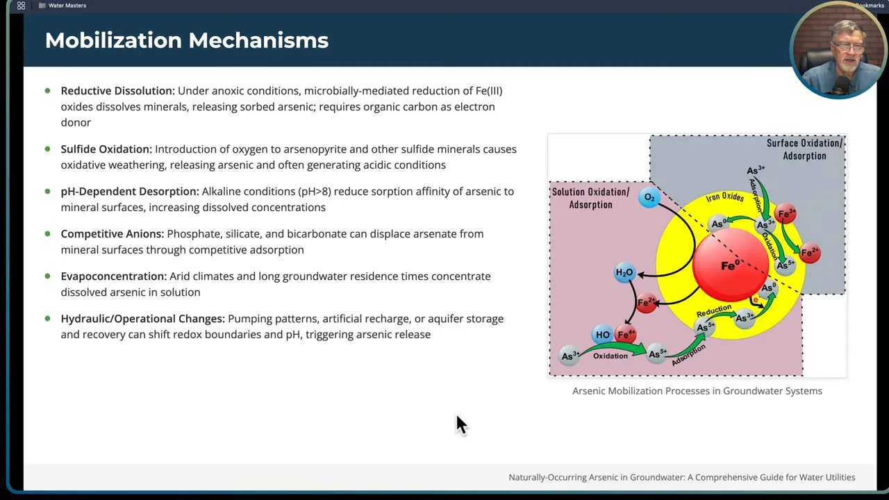 Diagram showing reductive dissolution and mobilization mechanisms