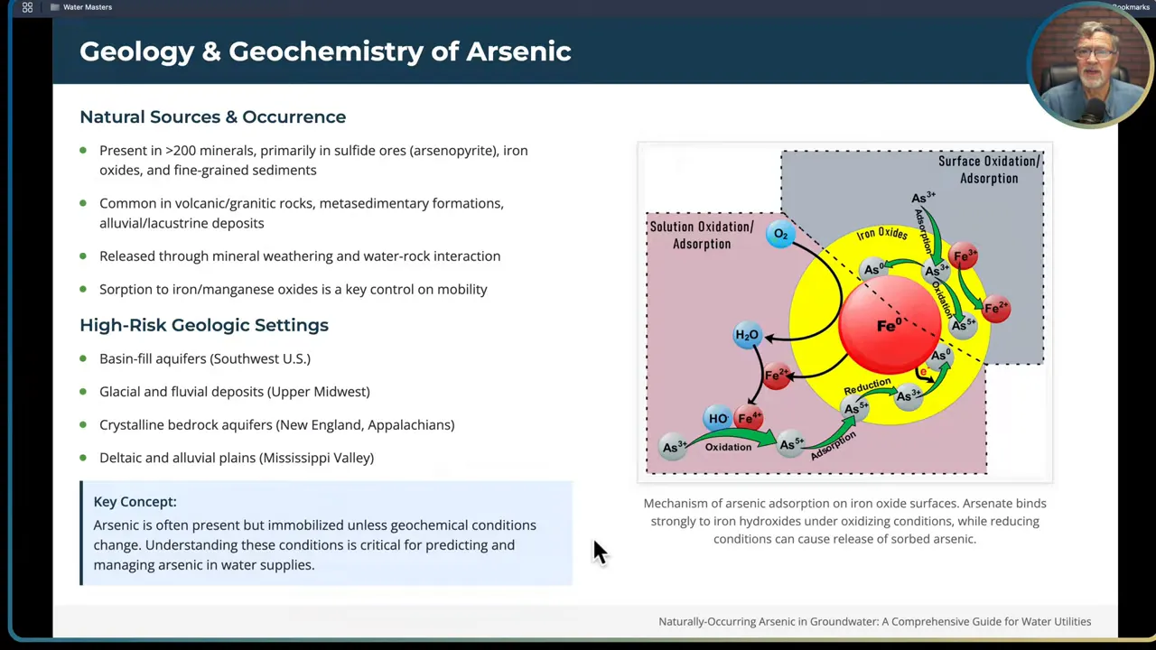 Arsenic occurrence in volcanic and granitic rocks
