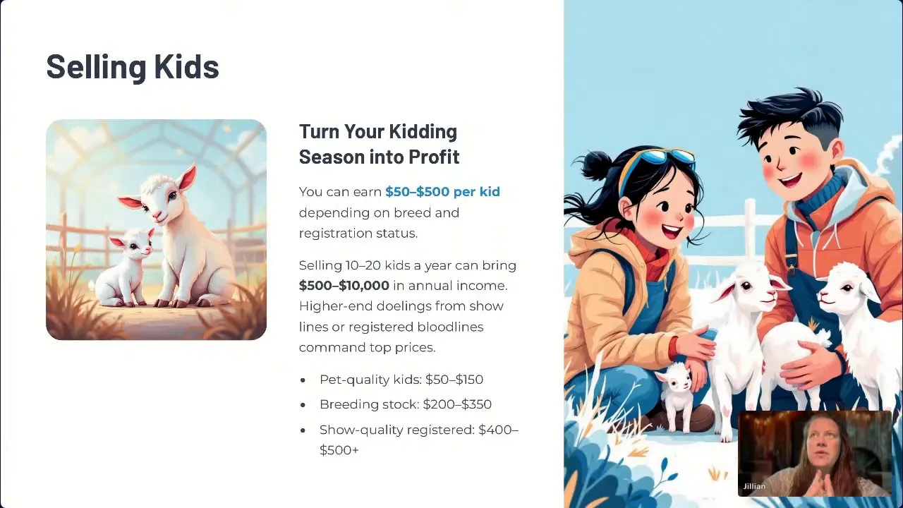 Selling baby goats is one of the traditional revenue methods