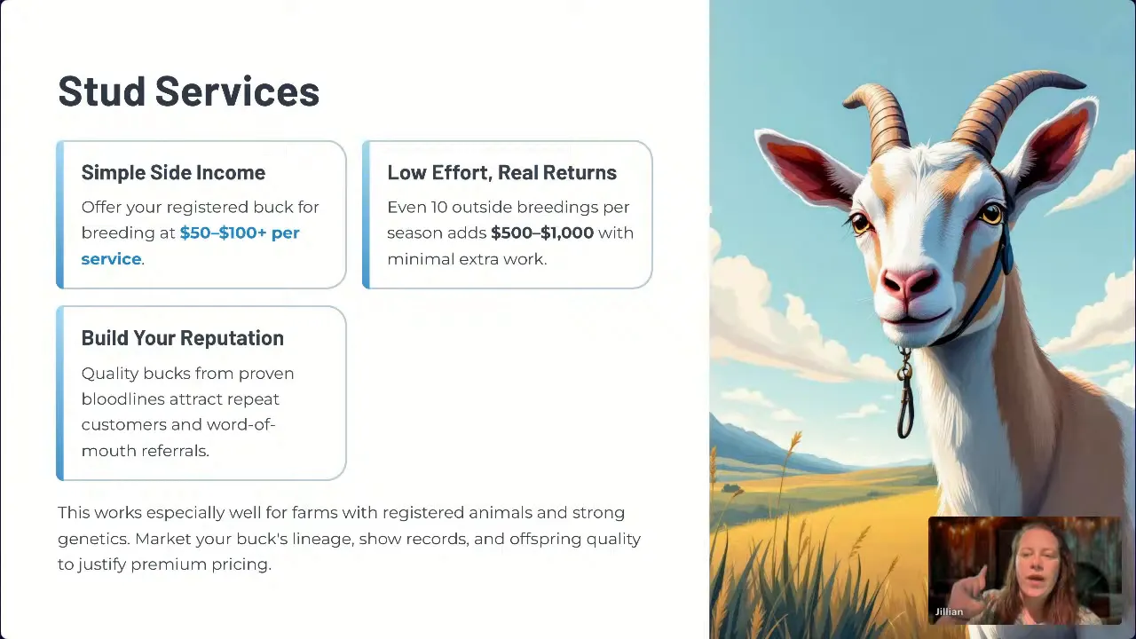 Registered buck shown to potential clients for stud services