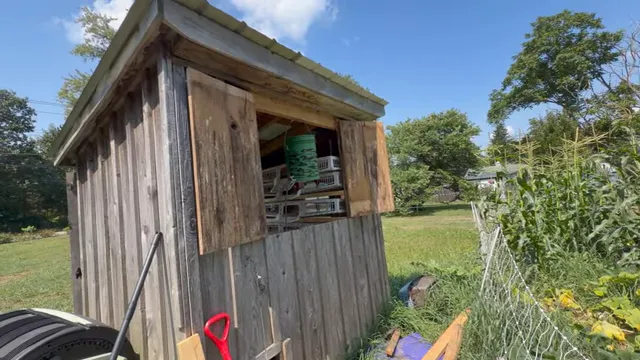 Two wooden shutters opened on the side of a weathered shed with quail cages visible inside