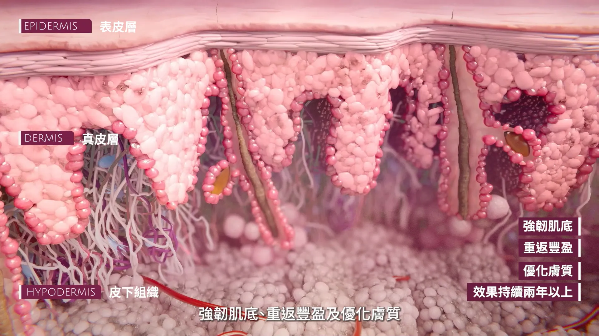 舒顏萃的效果