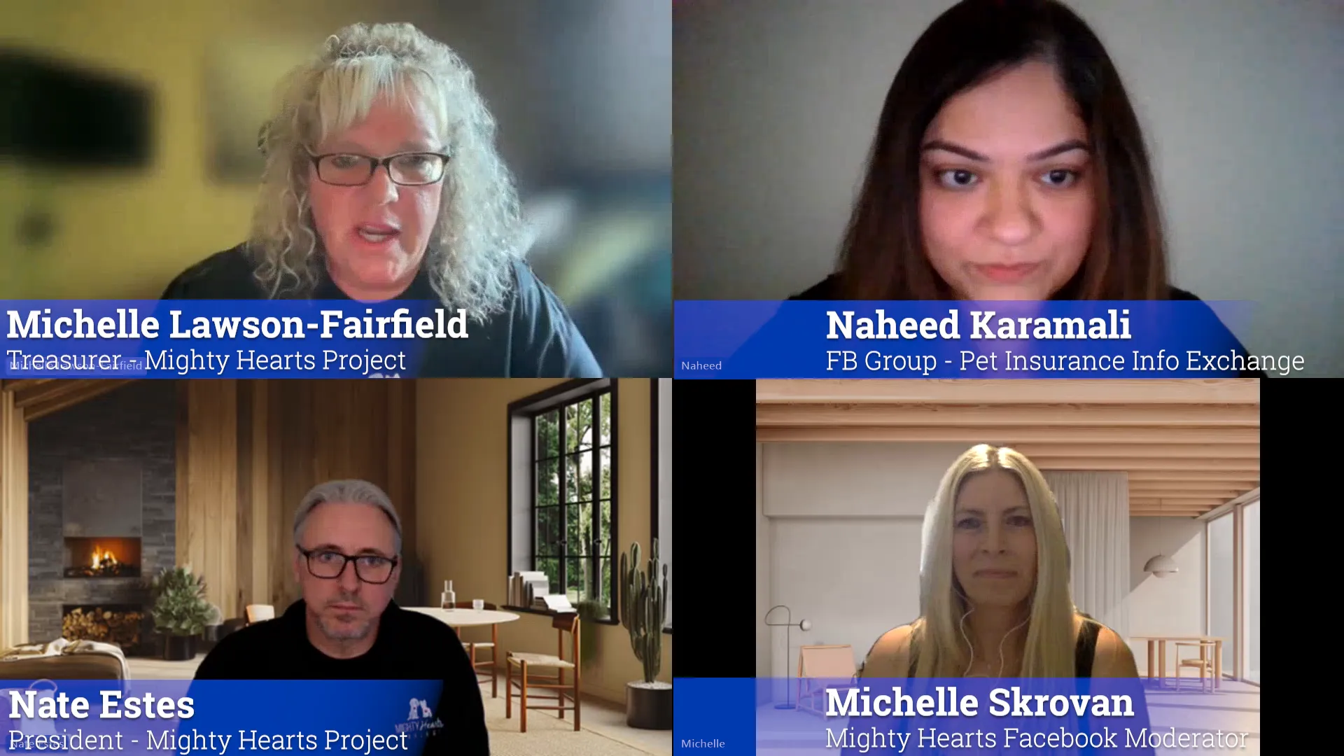 Experts discussing pet insurance options