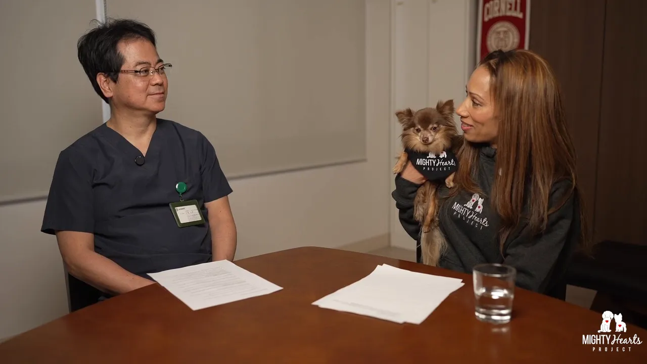 Dr. Masami Iwechi being thanked for his dedication in saving dogs' lives