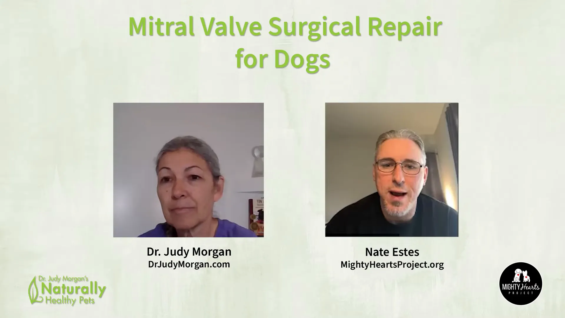 Nate Estes discussing Zoe's mitral valve surgery in France and Japan