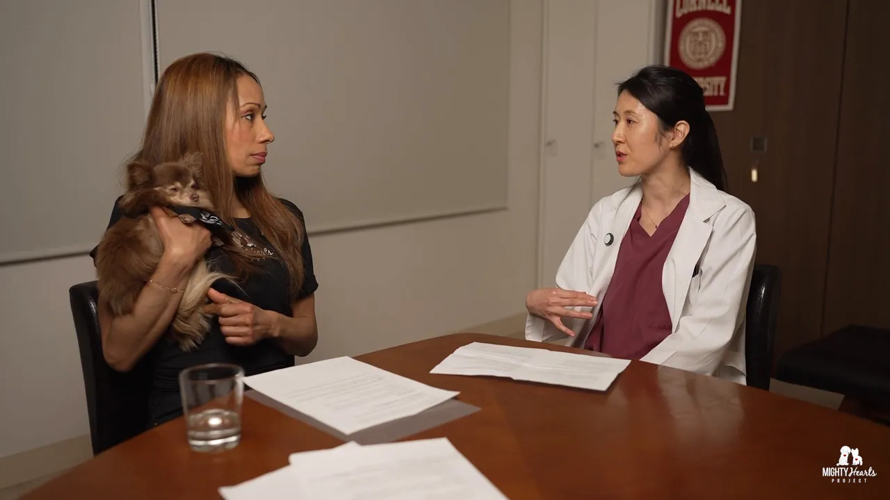 Multidisciplinary team at Jasmine Clinic