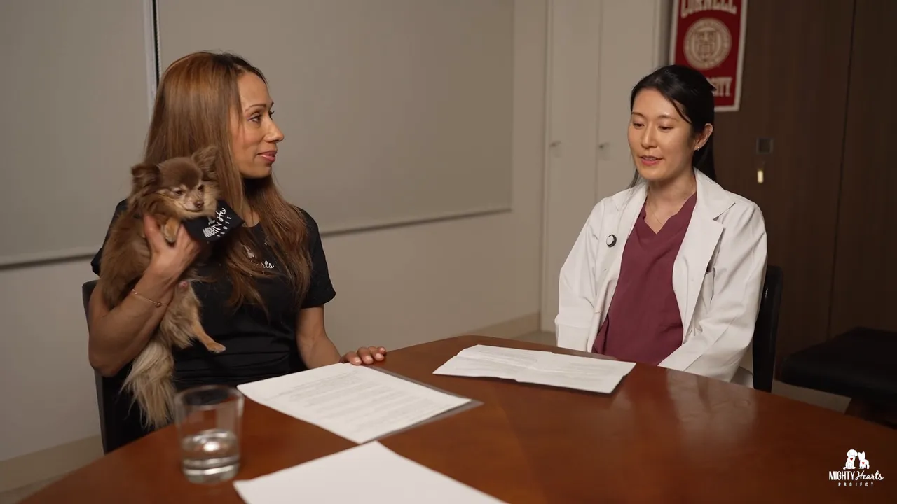 Dr. Takeyoshi at Jasmine Clinic