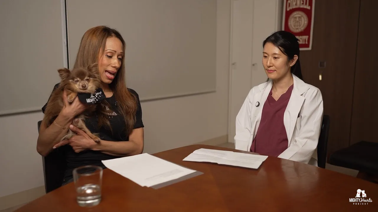Dr. Sayaka Takeyoshi discussing mitral valve disease and surgery