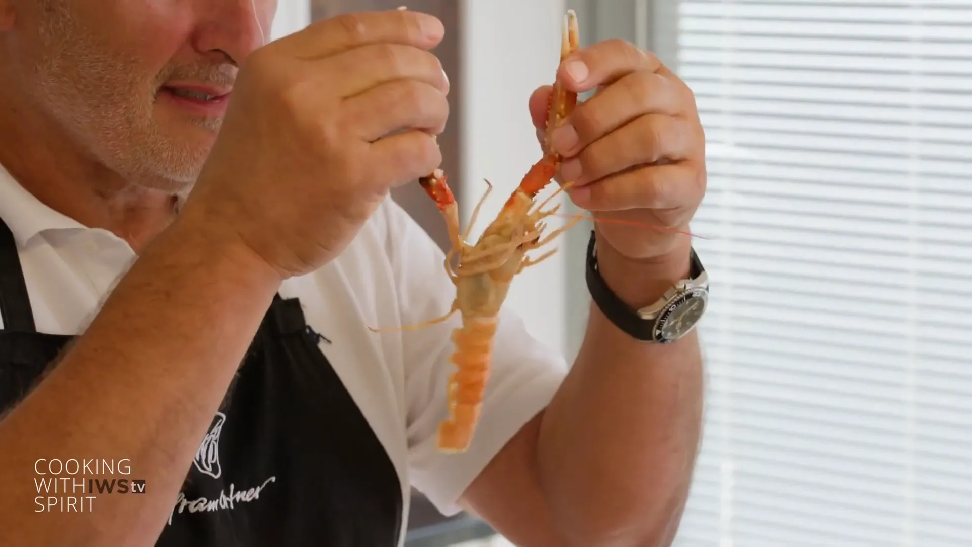 Close-up of scampi anatomy, showing claws and tail