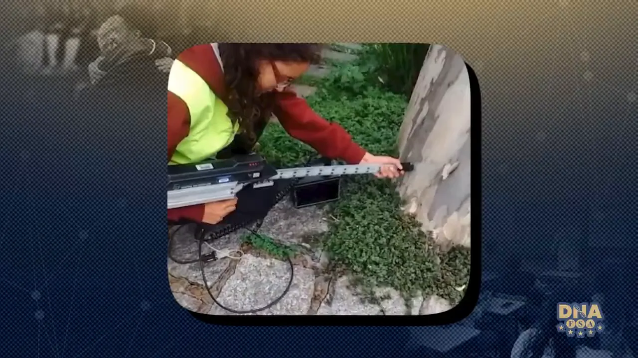 Inspeção de árvores no campus