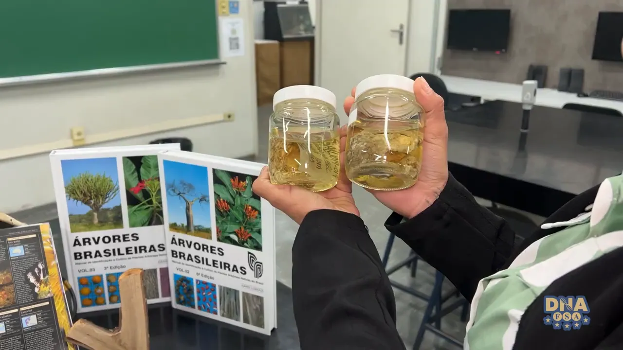 Amostras coletadas durante o mestrado