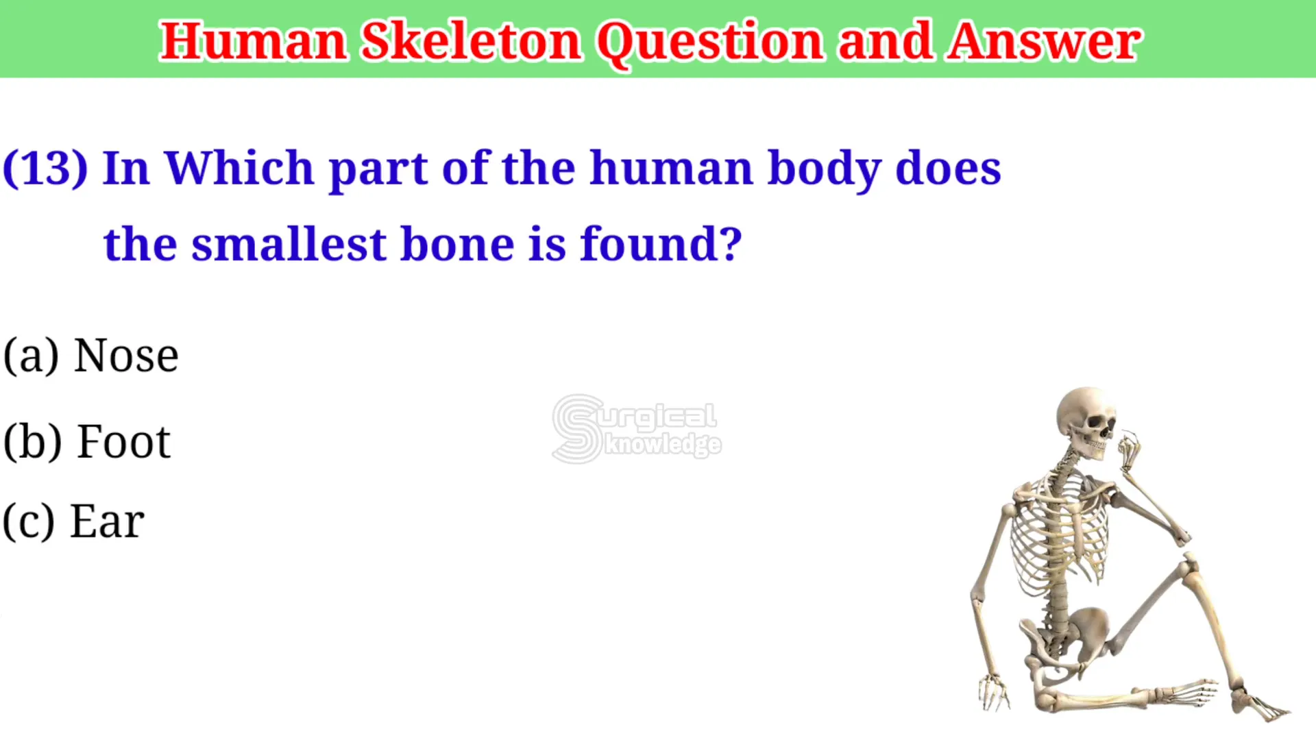 הסטפס באוזן הפנימית