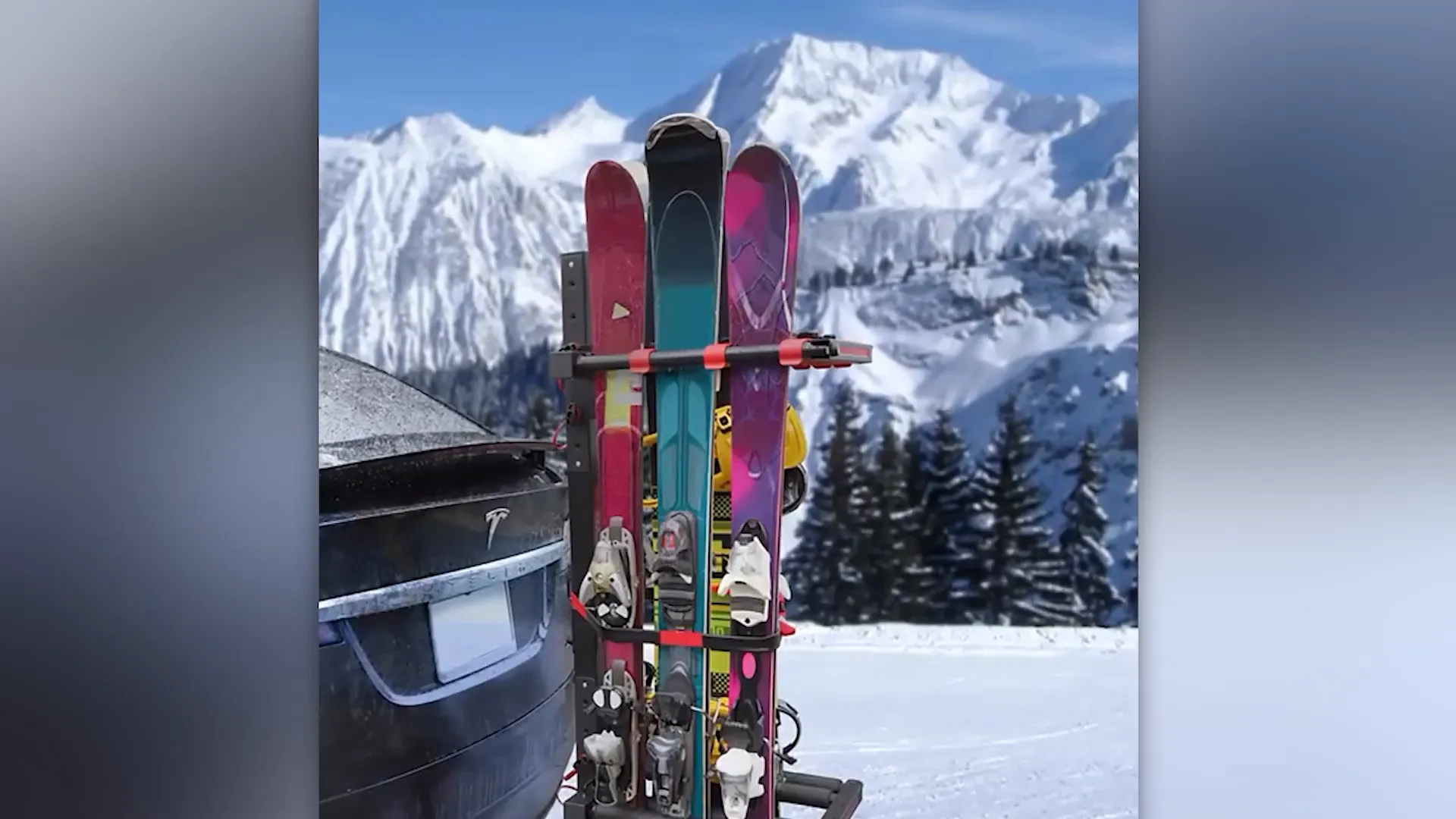 מדף סקי Tyger Auto