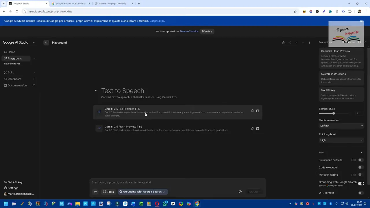 Schermata completa di Google AI Studio con Playground selezionato e intestazione 'Text to Speech' che mostra i modelli TTS disponibili.
