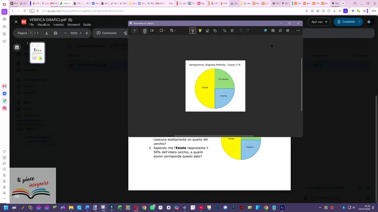 Strumento di cattura con il diagramma circolare delle stagioni preferite
