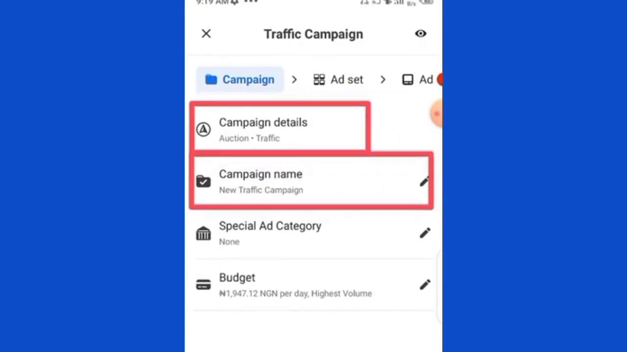 Setting Up Campaign Details