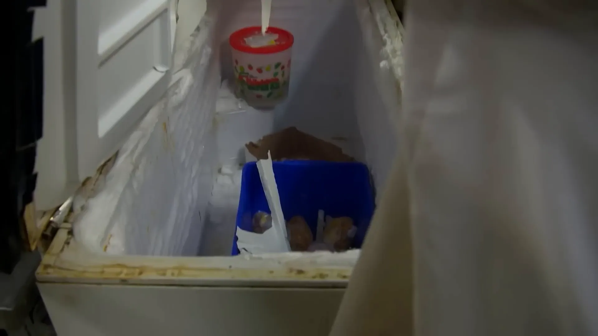 Freezer door revealing old pork chops