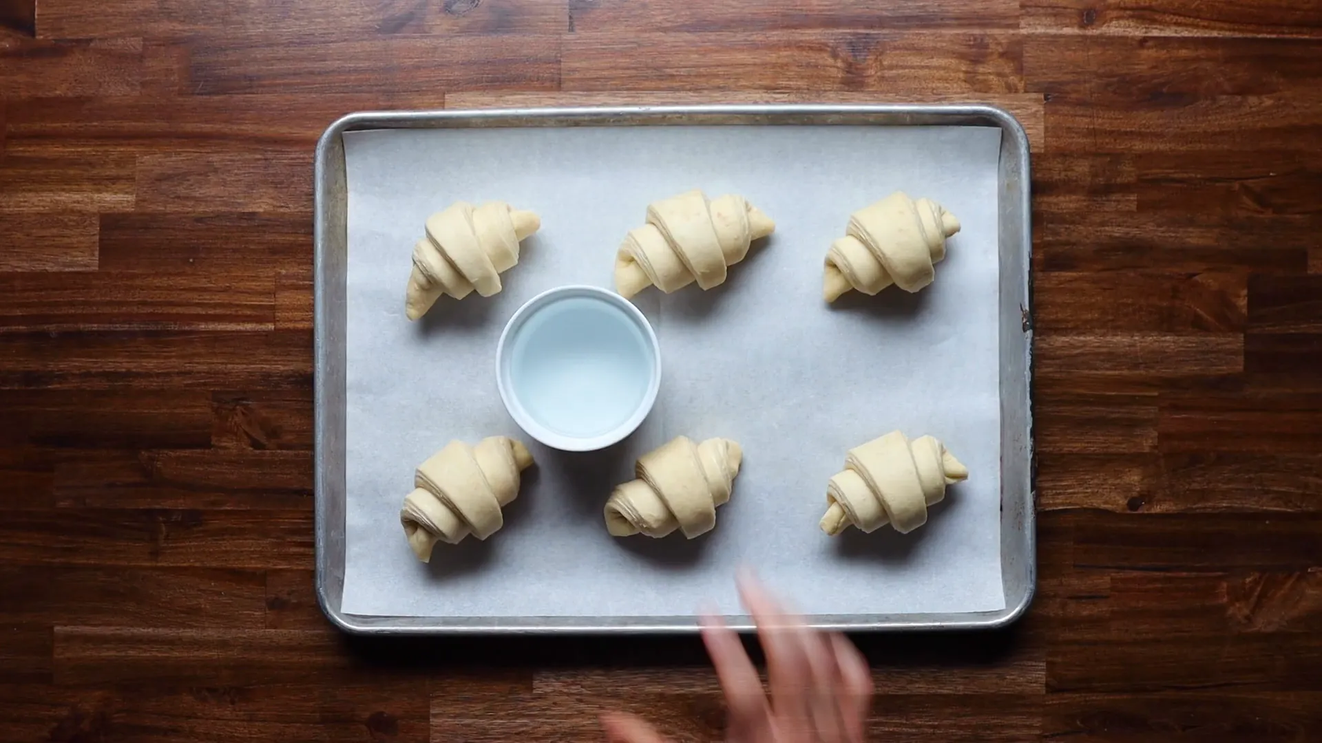 Rolled croissants proofing on a baking tray