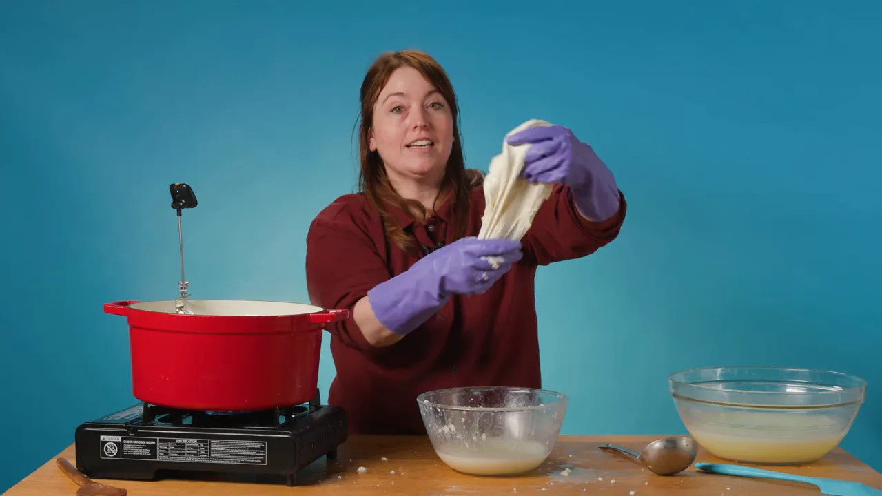 Hands in purple gloves stretching mozzarella curd to show its glossy, elastic texture.