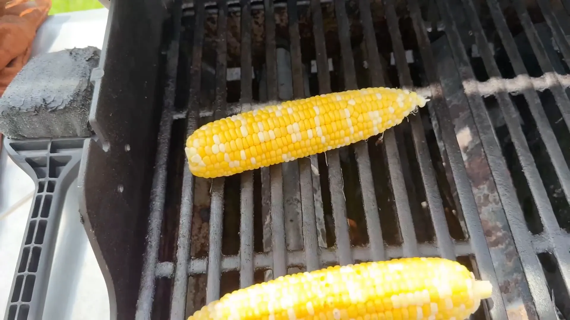 Fresh ears of corn on the grill starting to char