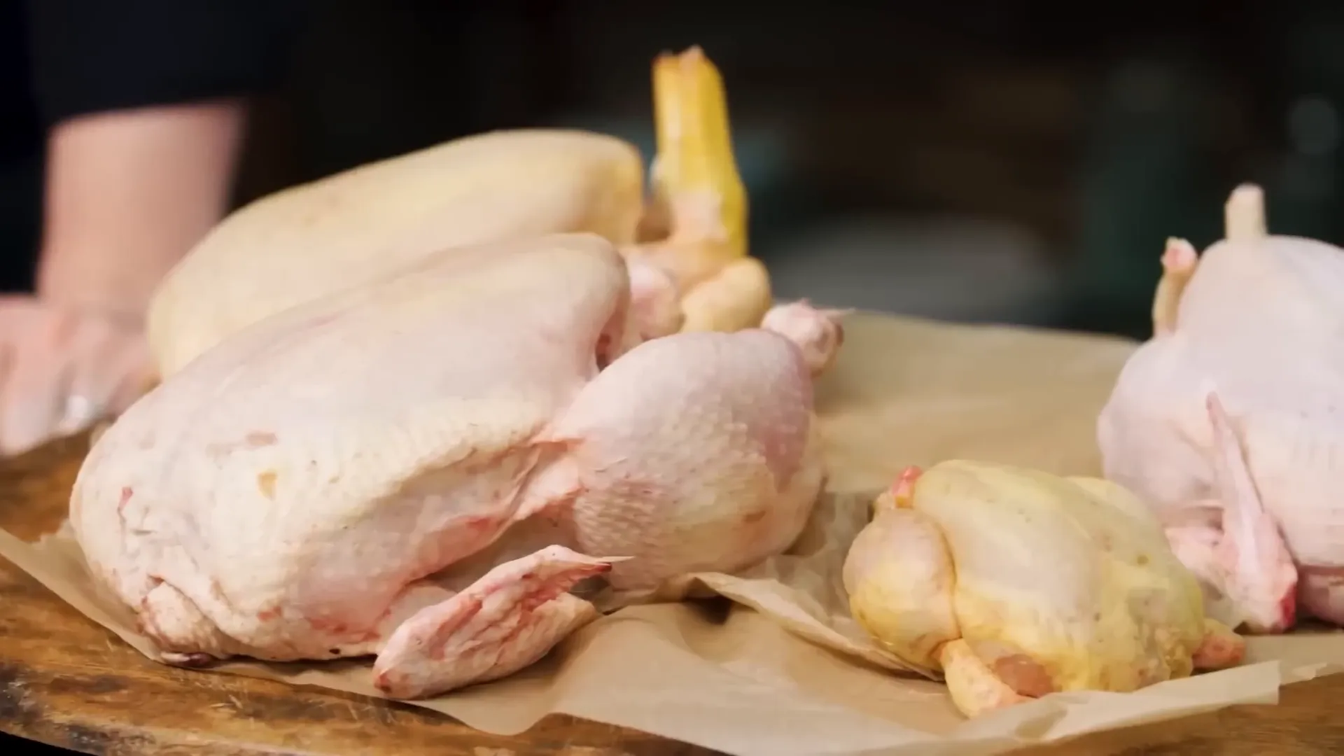 Selection of different chickens including corn-fed and organic