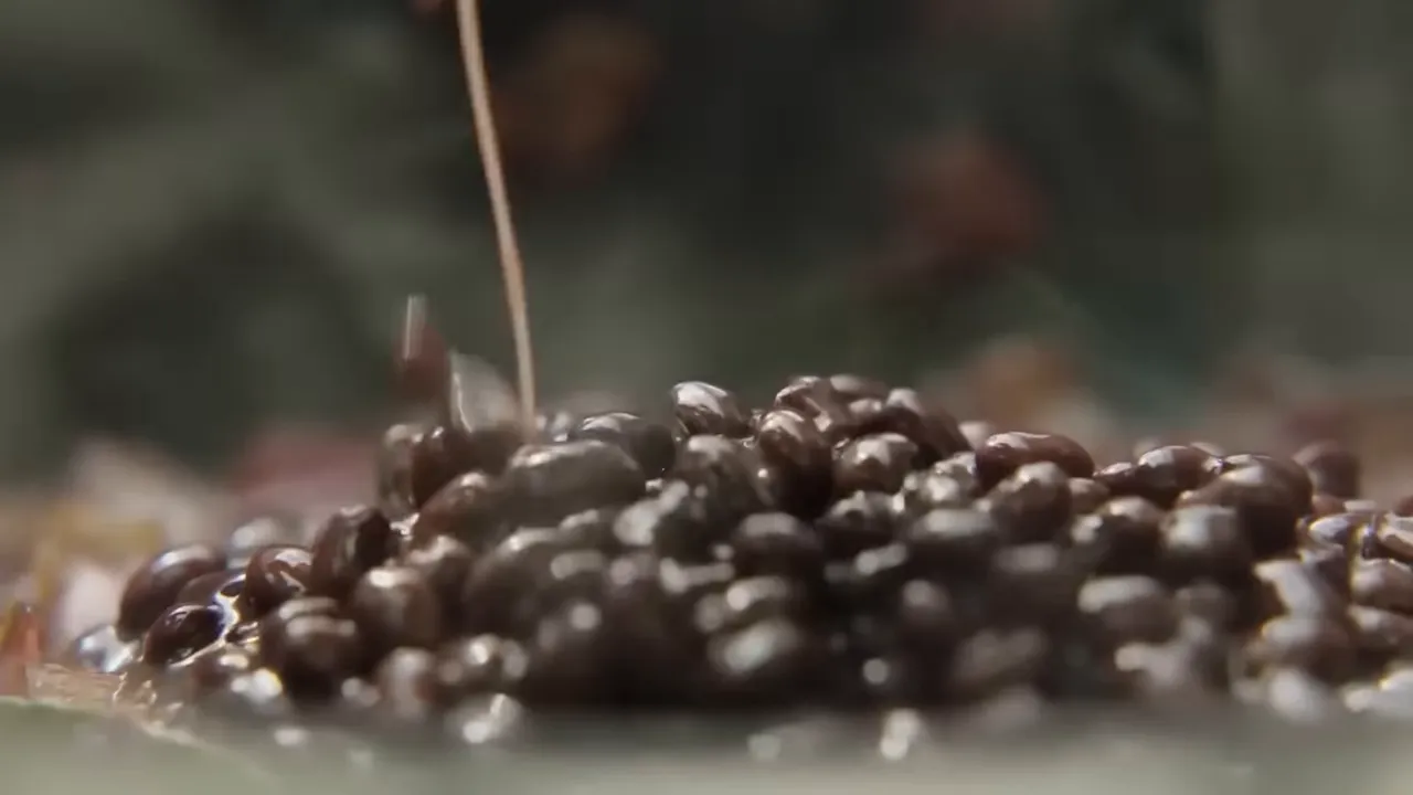 black beans being added to a pan to make the stew base