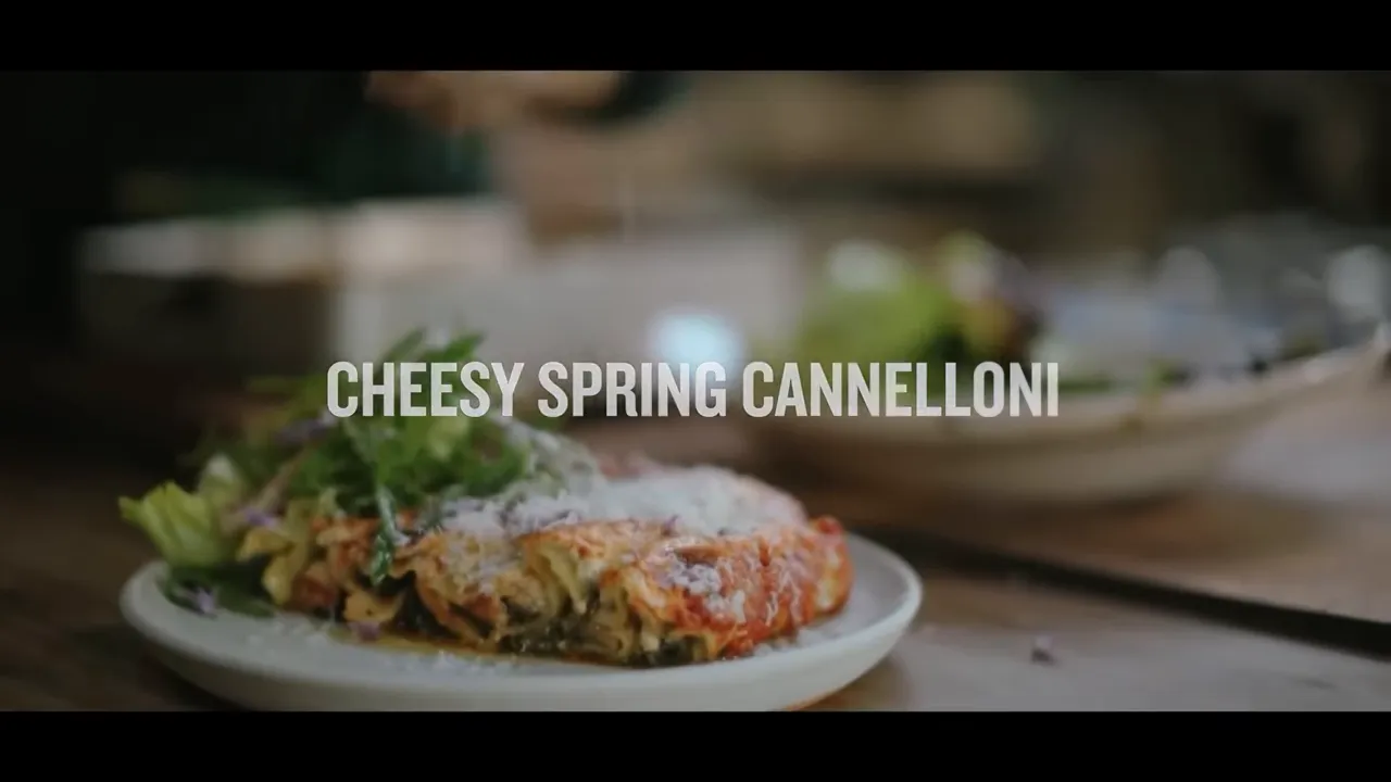 Plated cheesy spring cannelloni served with mixed leafy salad on a wooden table