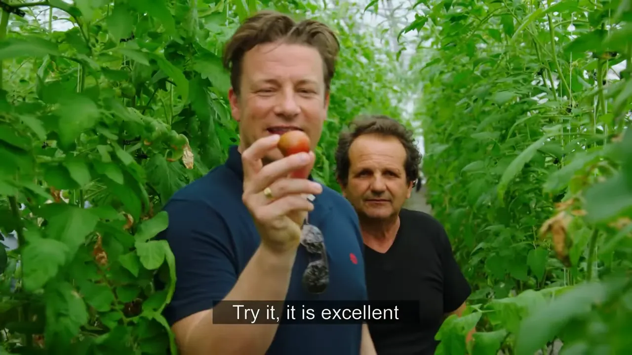 Hands holding deep red camona tomato