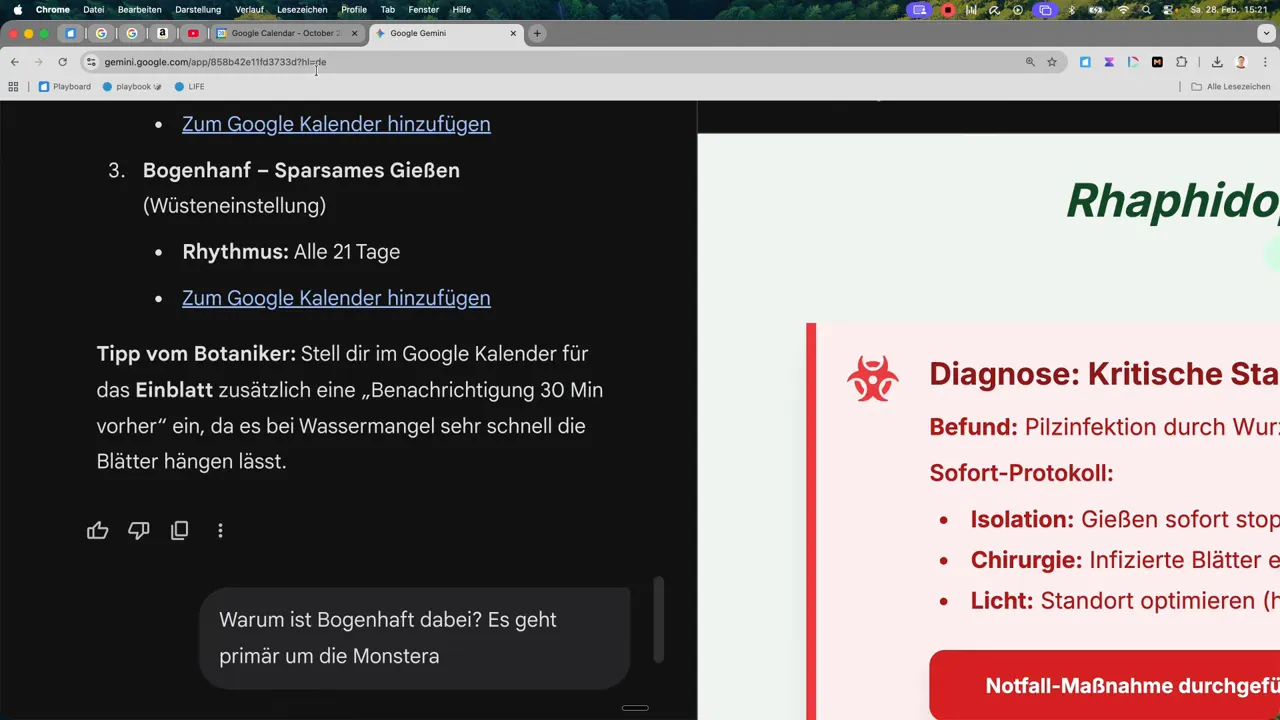 Klarer Screenshot von Gemini Pflanzen-Diagnose mit Notfall-Protokoll (Isolation, Chirurgie, Licht) rechts und Gie&szlig;rhythmen links