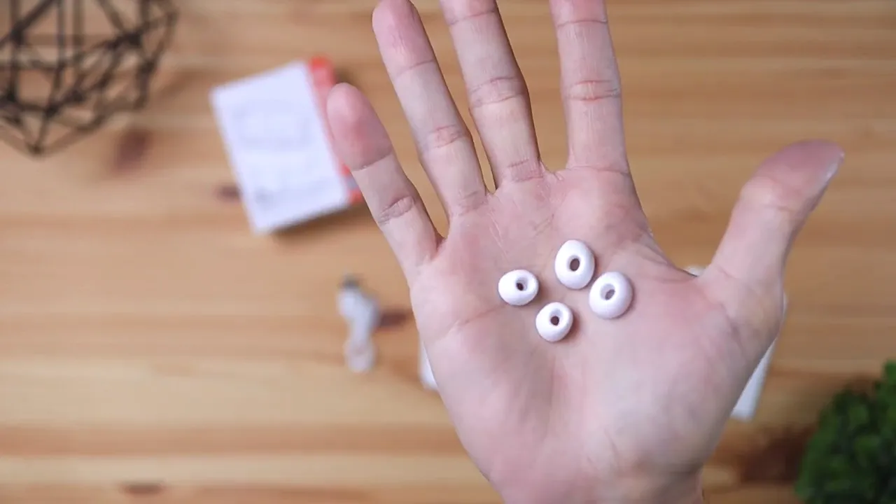 ENACFIRE E90 included silicone ear tips in a hand