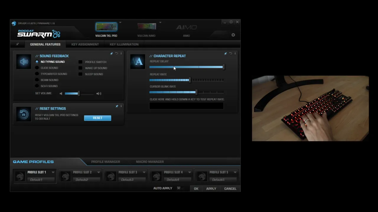 Roccat Swarm software showing character repeat rate and repeat delay settings