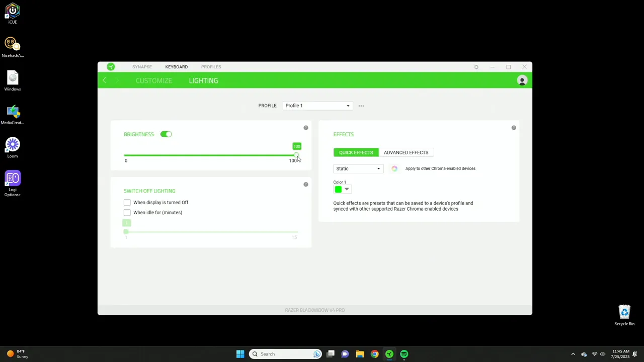 Lighting options screen showing presets and brightness slider