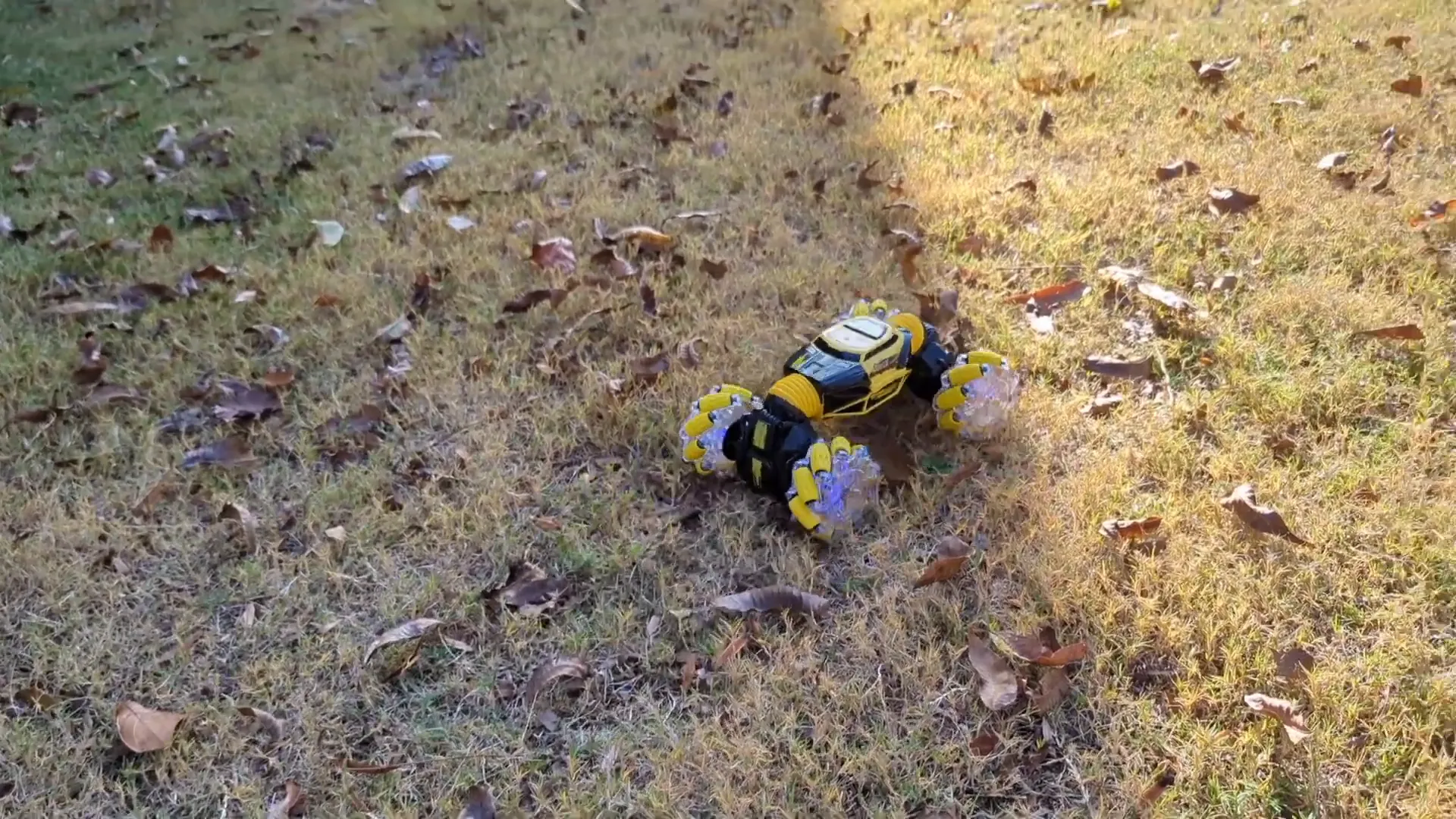 DoDoeleph RC Car with battery