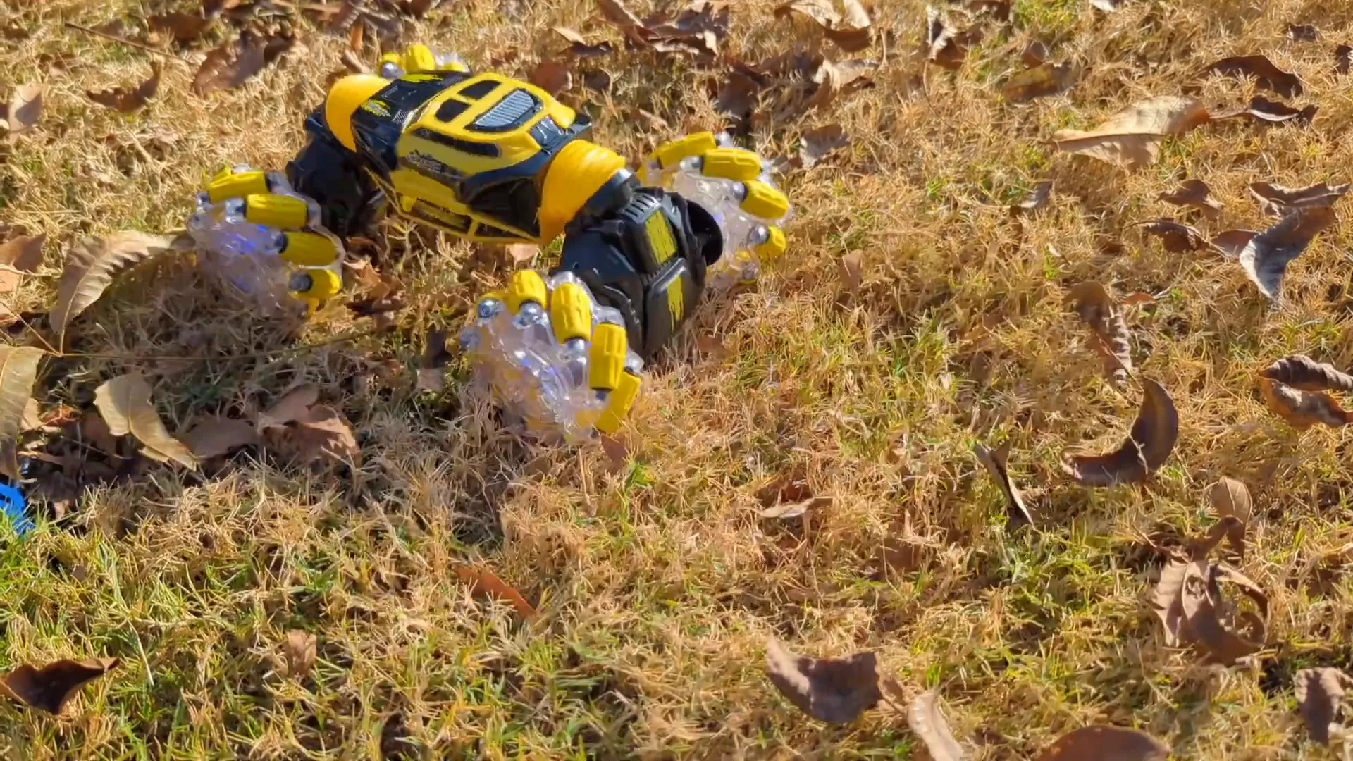 DoDoeleph RC Car outdoors