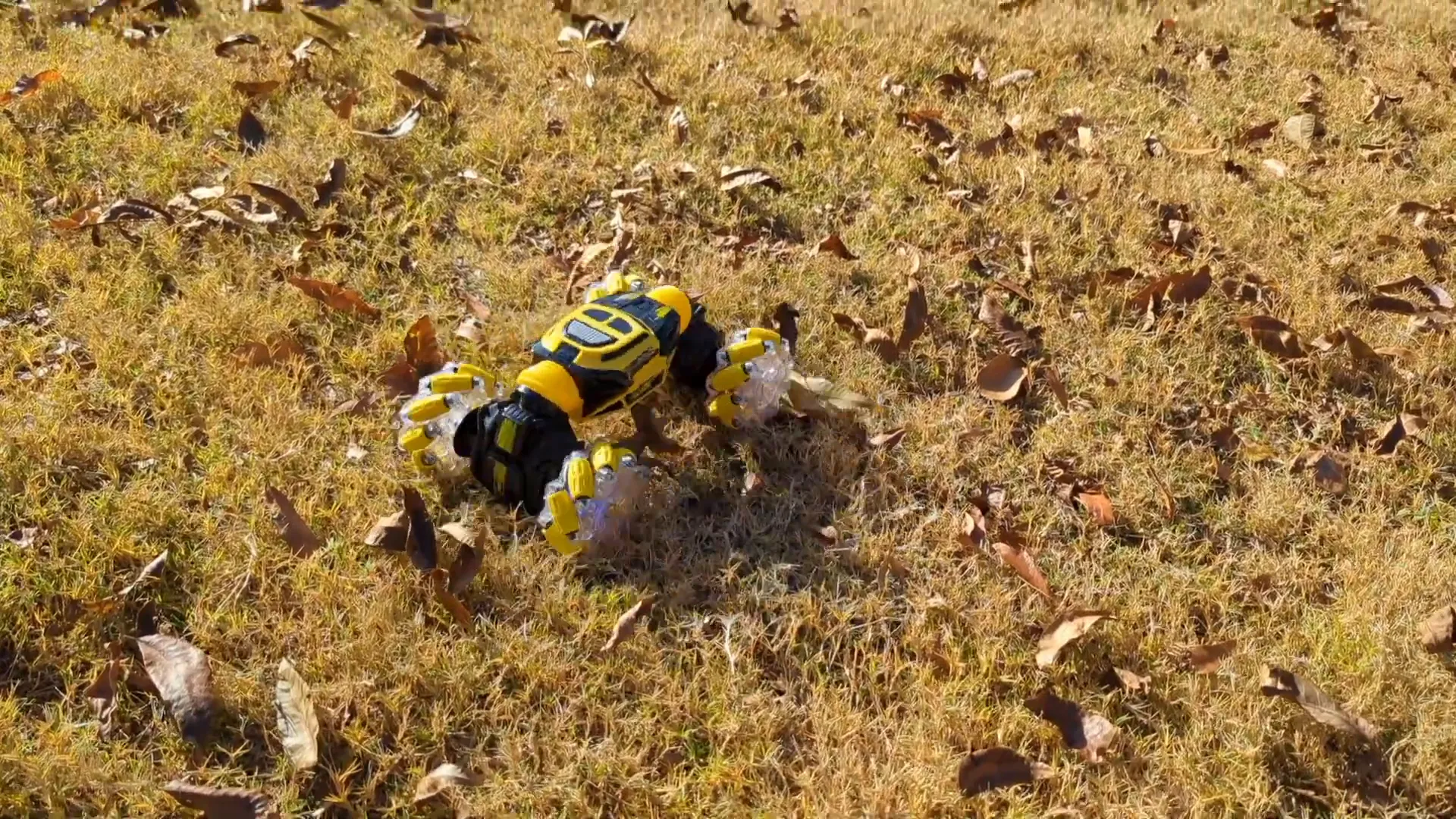 DoDoeleph RC Car on grass