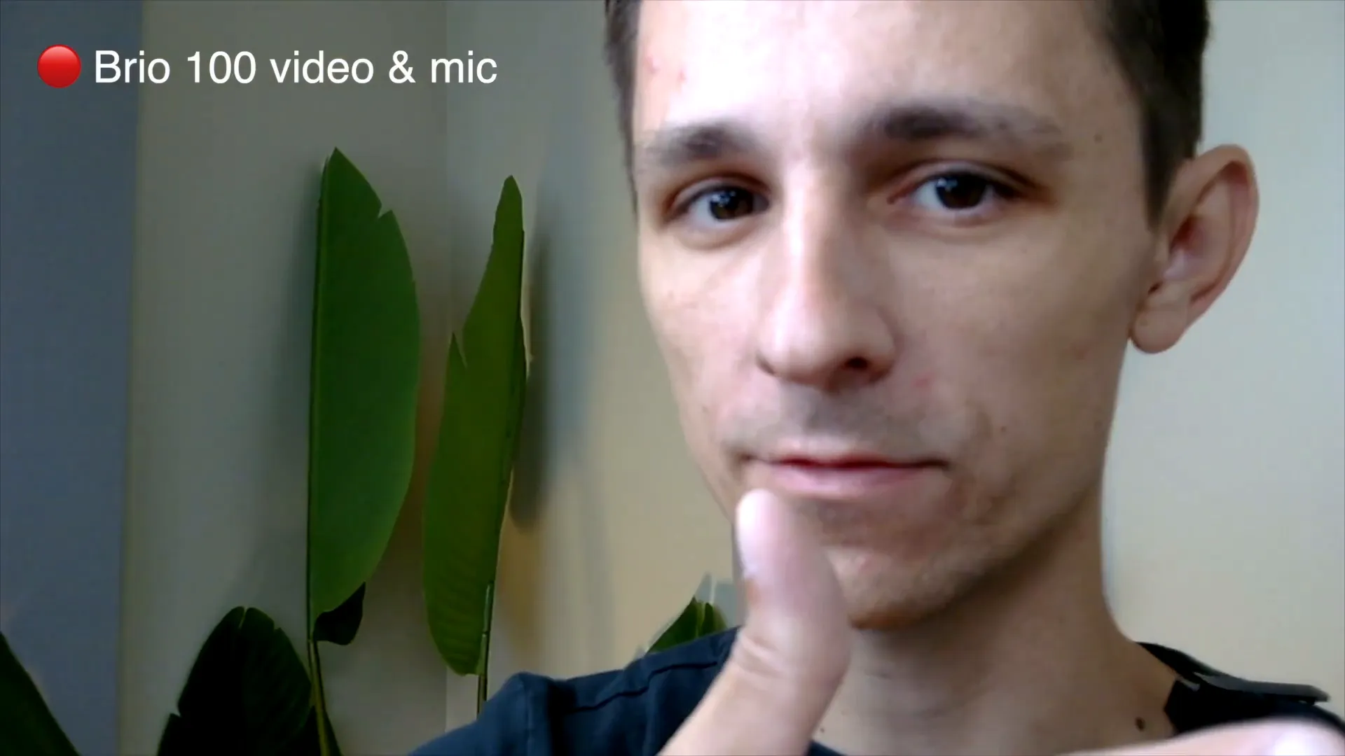 Microphone performance test with Logitech Brio 100