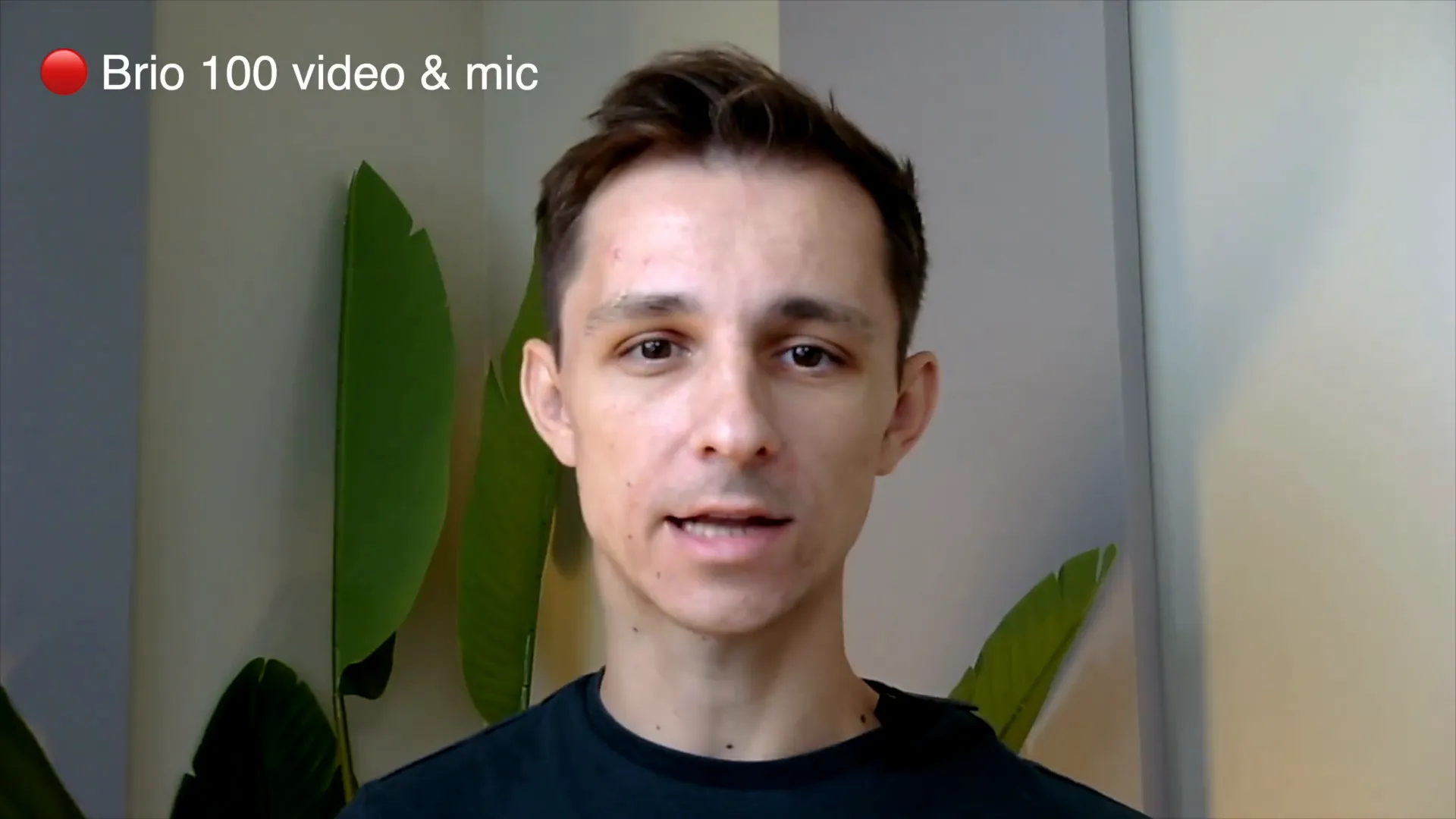 Testing video quality of the Logitech Brio 100 Webcam