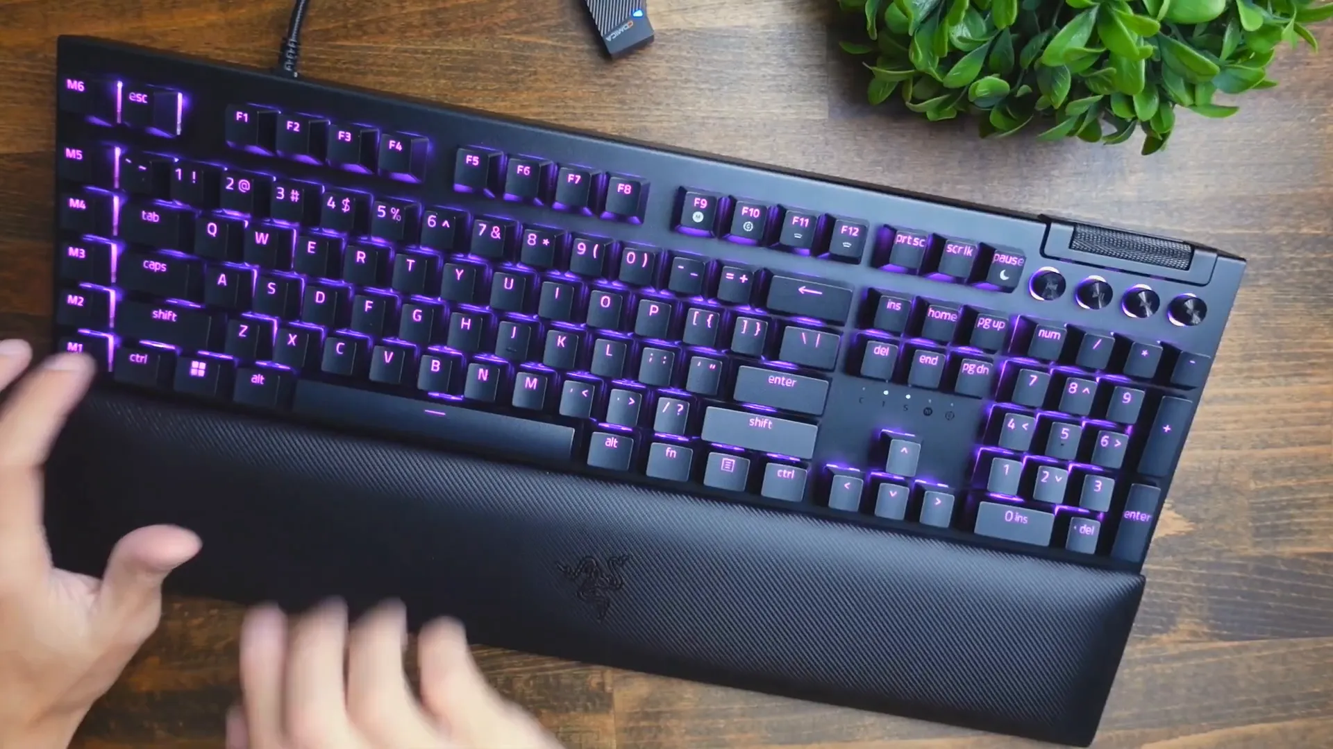 Razer BlackWidow V4 typing test