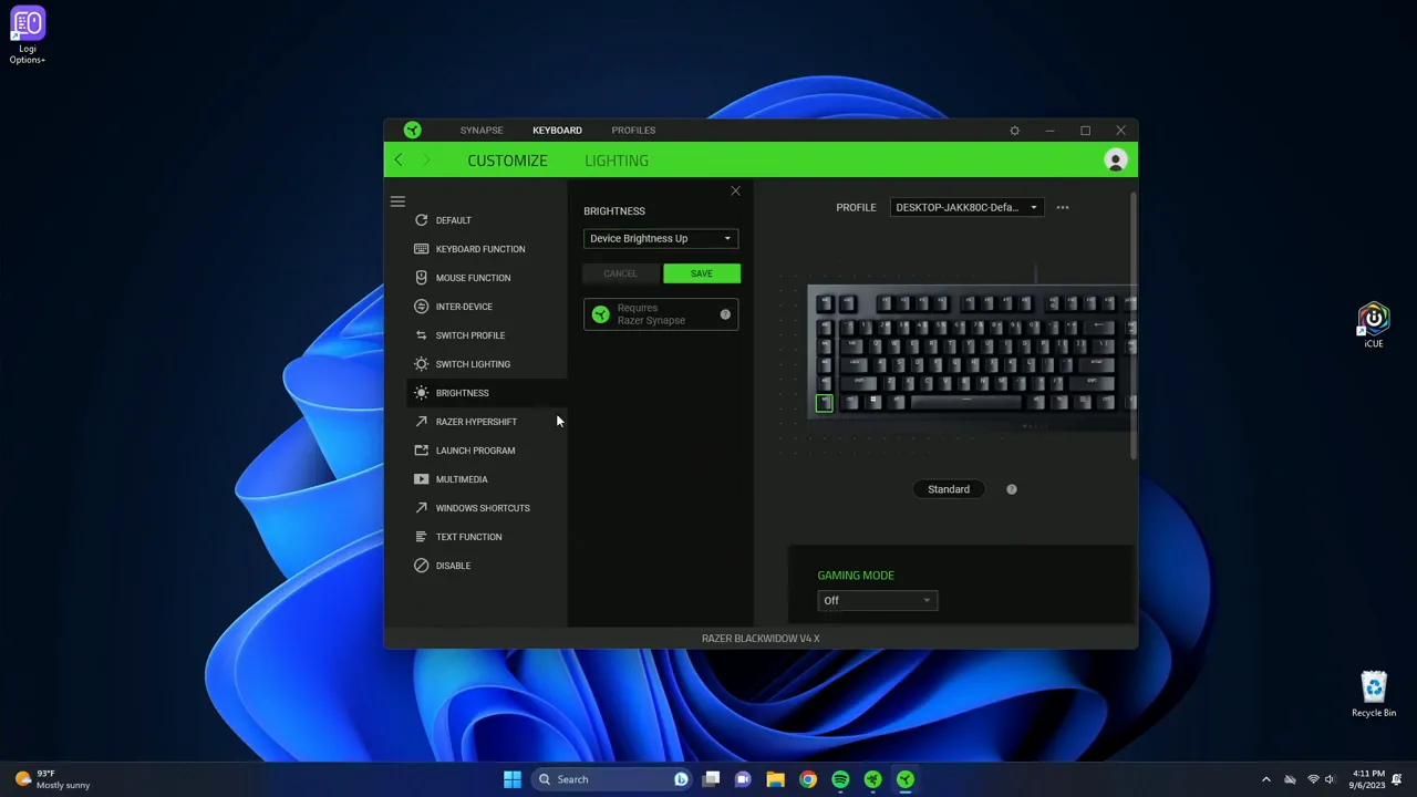 Profile switching and brightness control options
