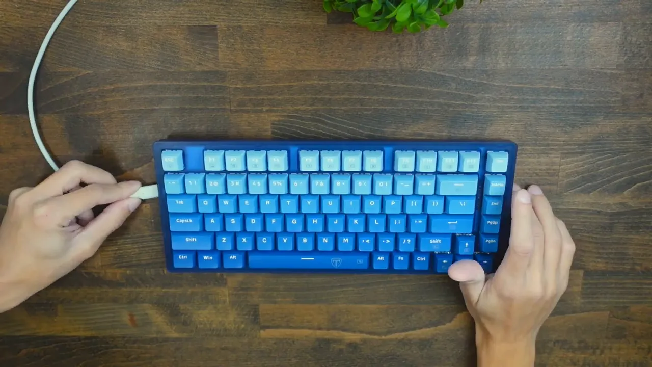 Top‑down view of RisoPhy TKL 75% keyboard with gradient blue keycaps as a USB‑C cable is plugged in