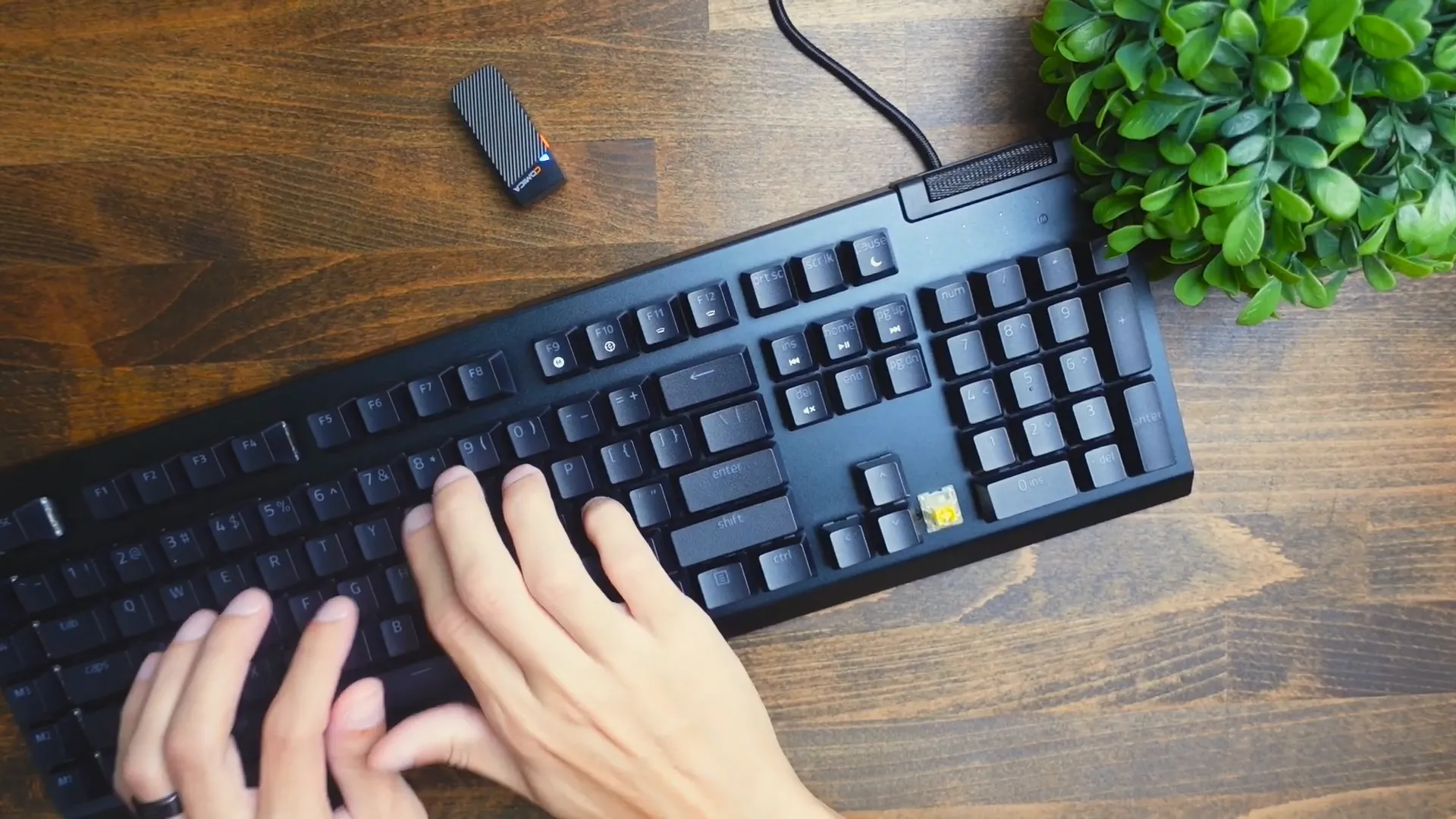 Typing Test on Razer BlackWidow V4 X Keyboard
