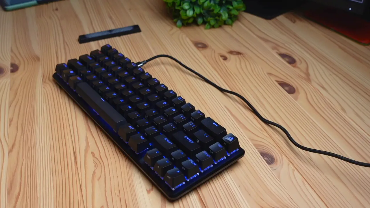 RGB lighting active on the keyboard