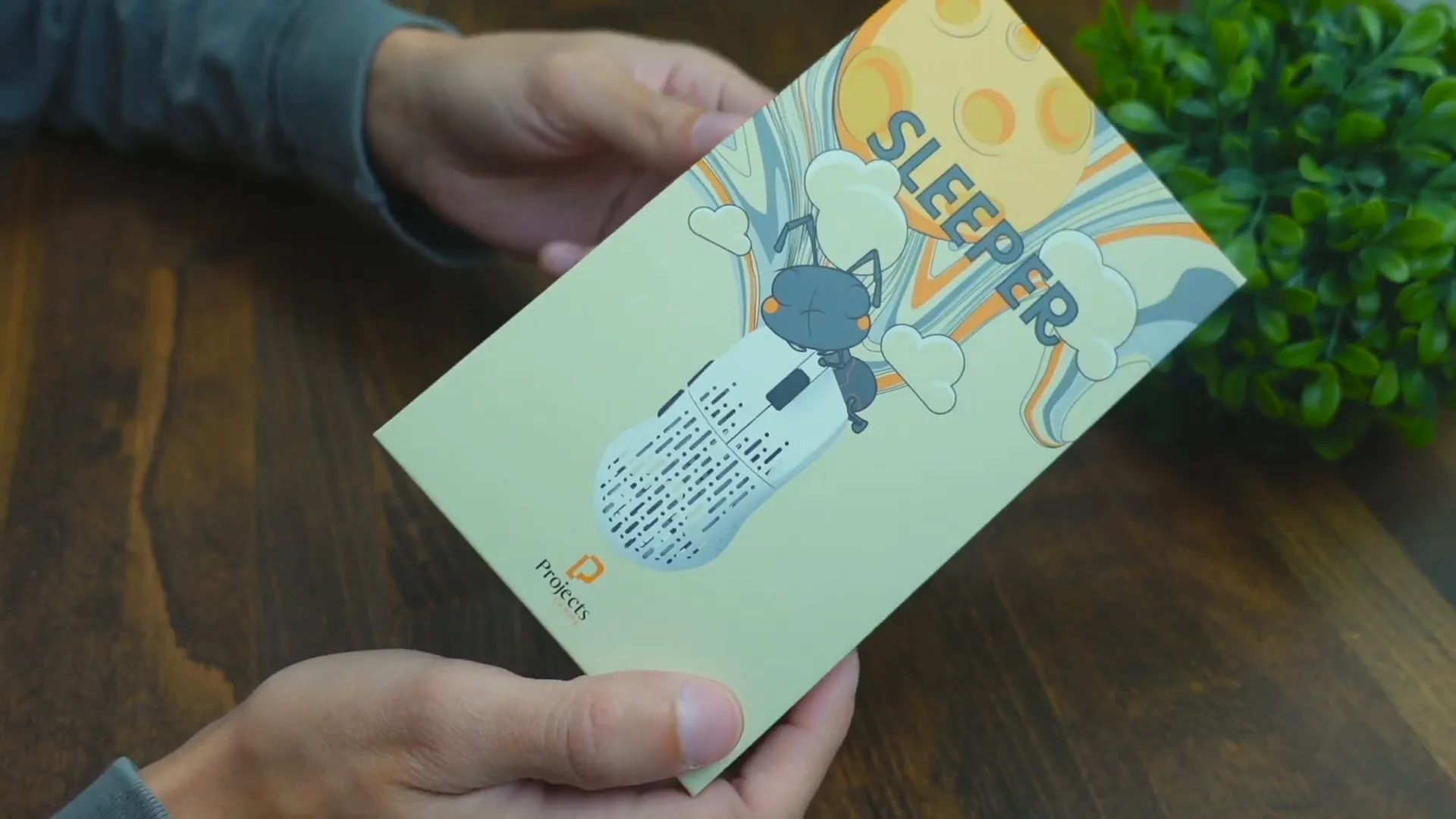 Packaging of Projects Gaming Sleeper Mouse