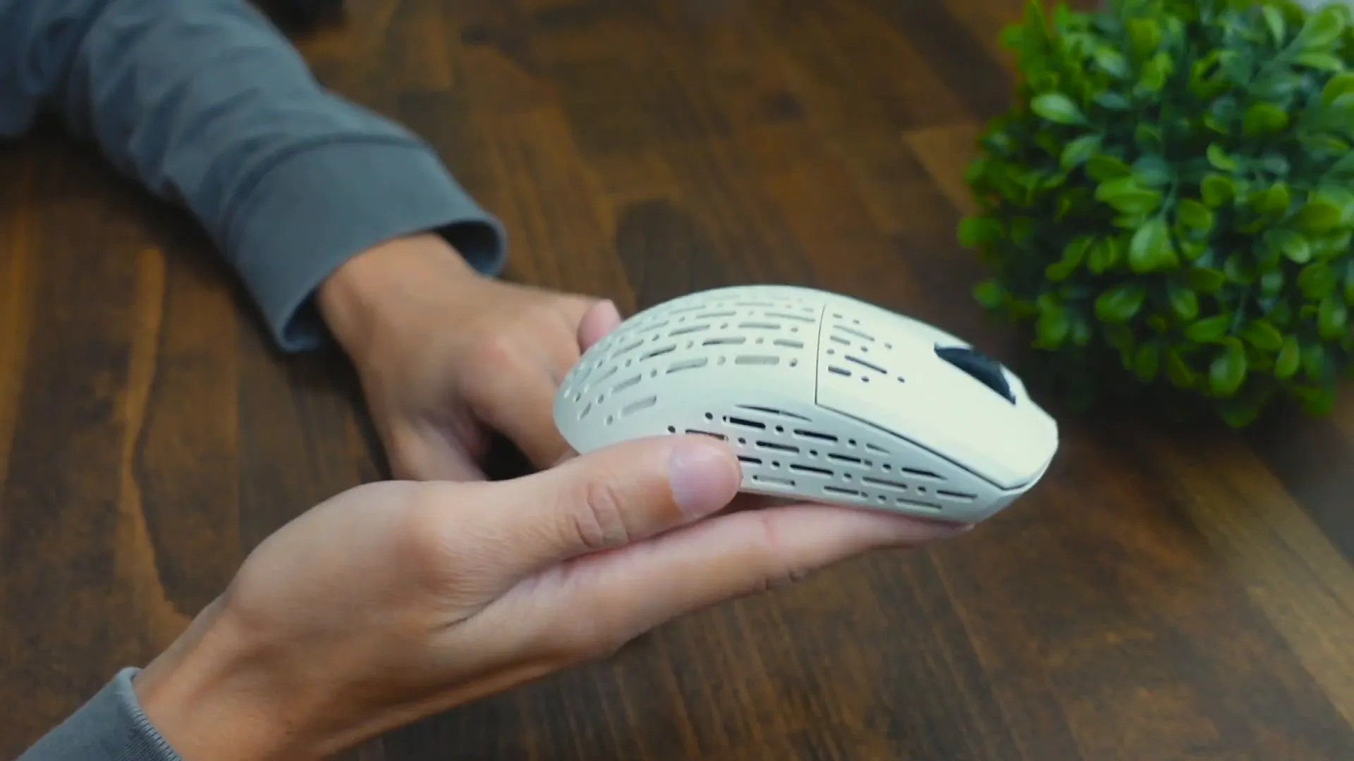 First impressions of the mouse design
