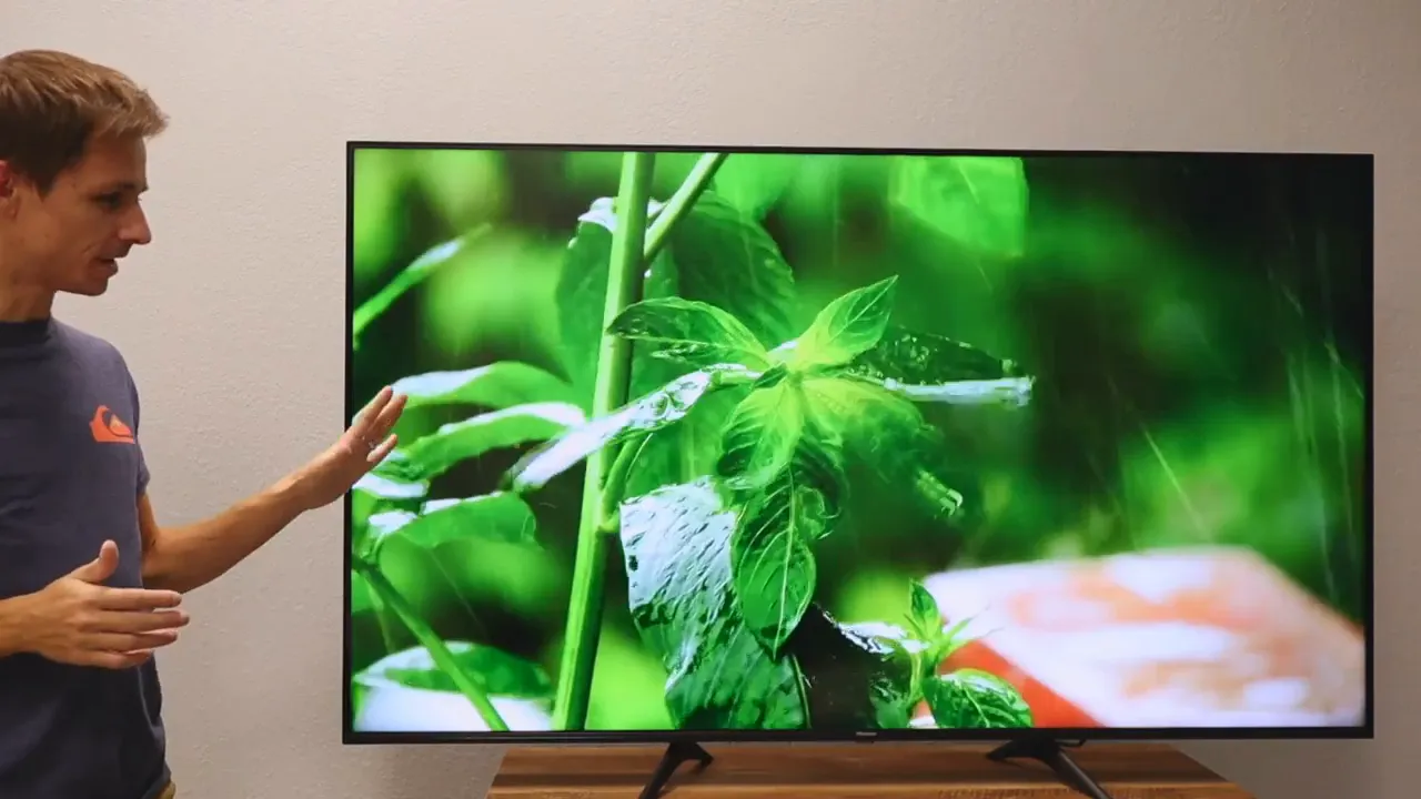Close-up nature footage on the TV with bright green leaves and stems filling the screen