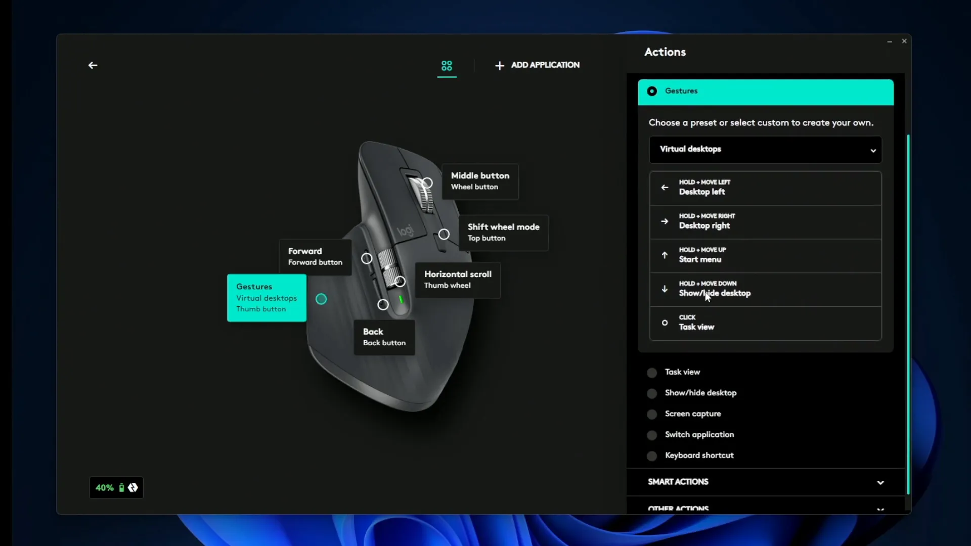Customizing gesture button
