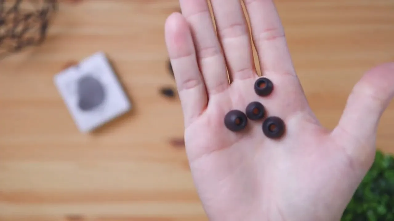 Assorted SoundPEATS T2 ear tips held in a hand showing different sizes