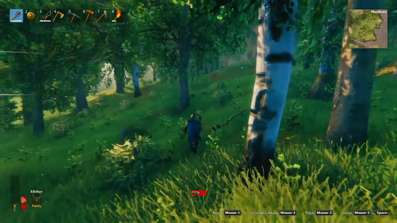 In-game screenshot demonstrating smooth framerate in Valheim