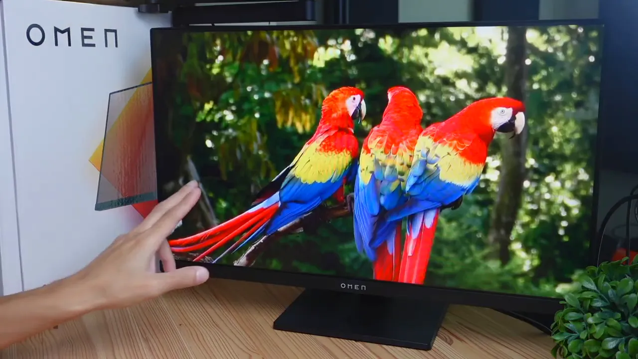 Close-up of monitor's vibrant colors showing reds and blues